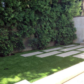 a grass lawn with a stone walkway and trees