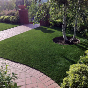 a grass lawn with a brick walkway and a tree