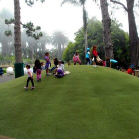a group of kids playing on a grassy hill