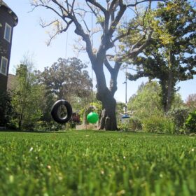 a tire swing set in a yard