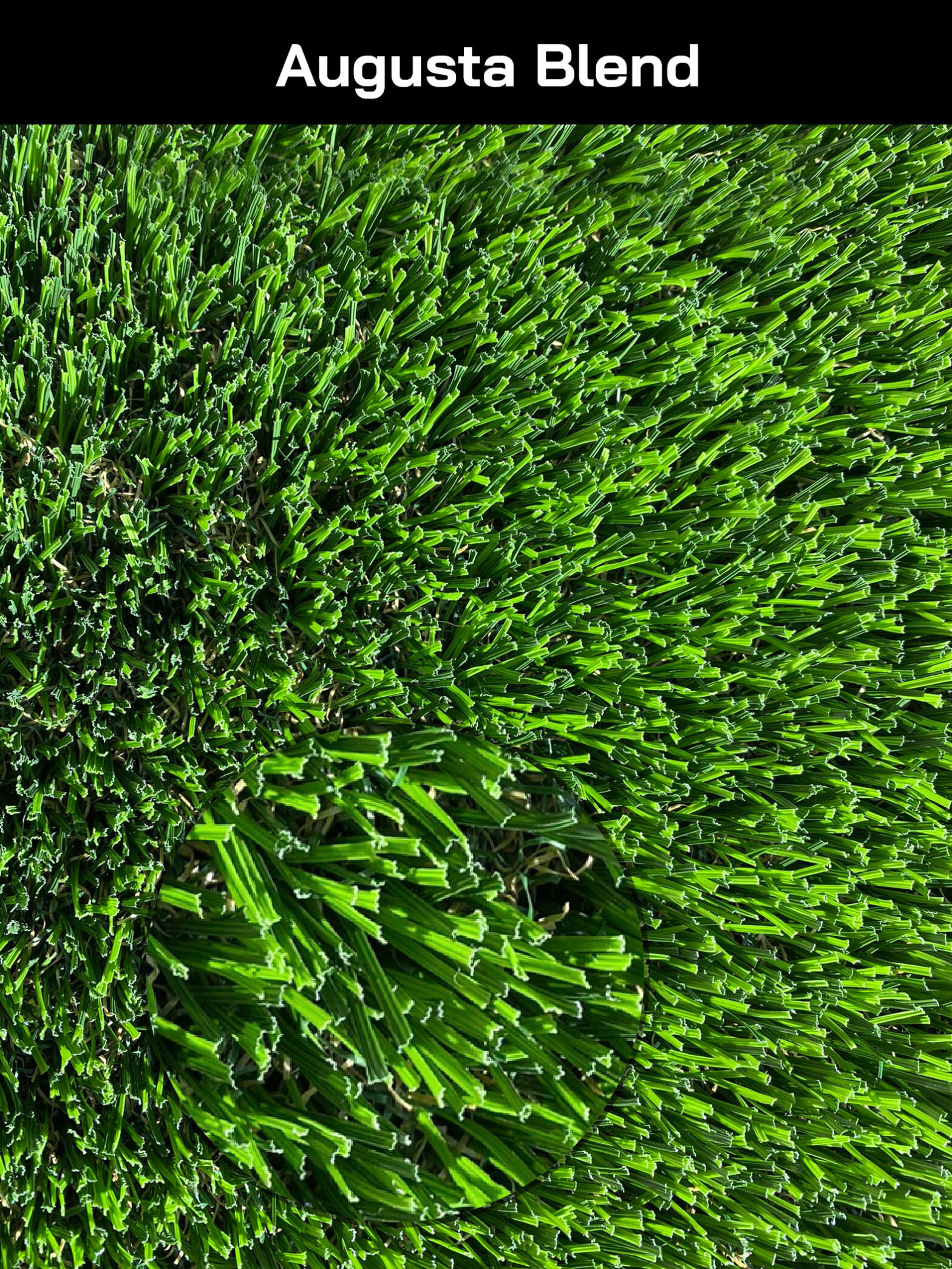Smart Grass Blends Fescue, Natural, Gecko, Kodiak, Malibu, Manchester