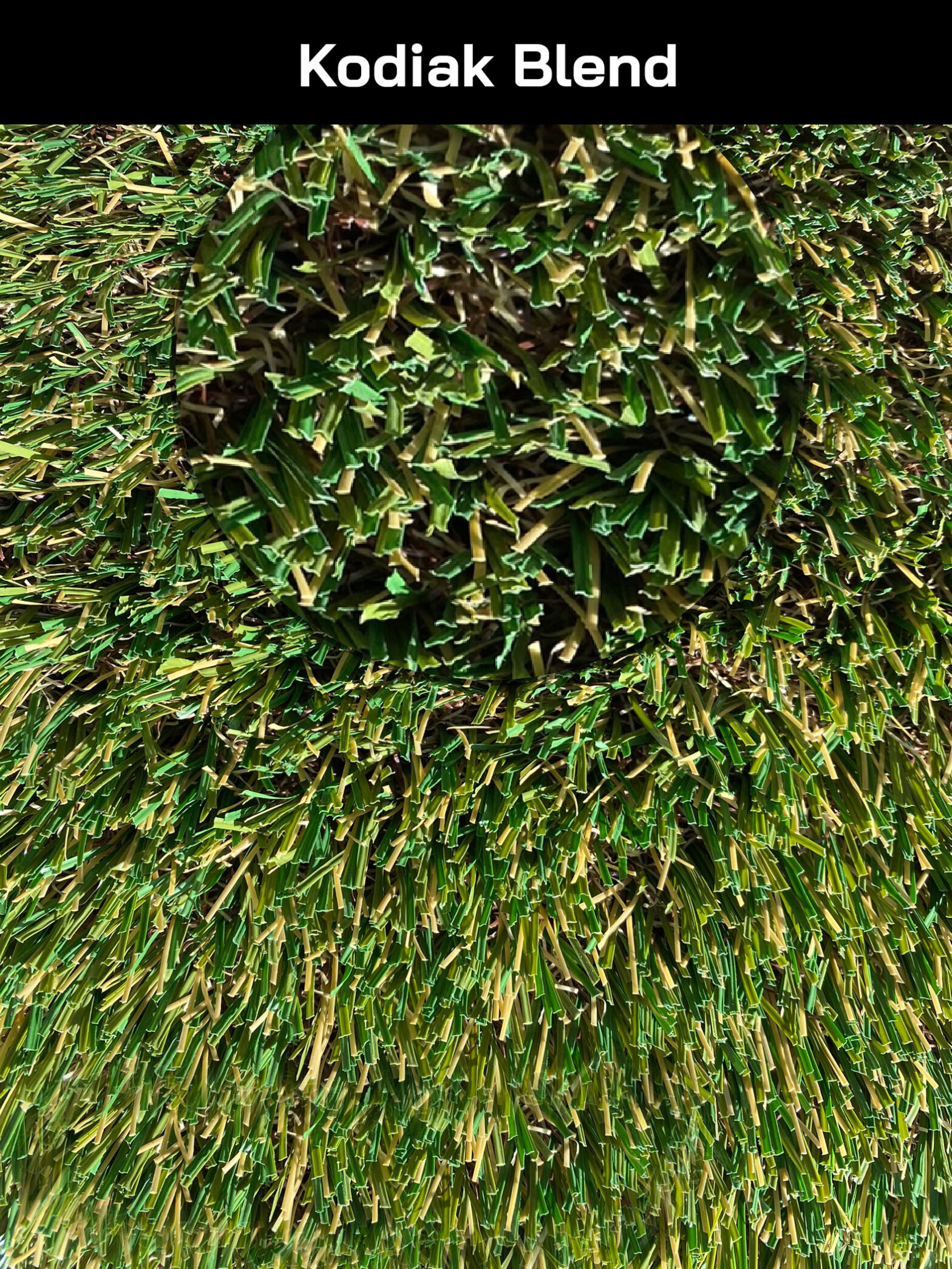 Smart Grass Blends Fescue, Natural, Gecko, Kodiak, Malibu, Manchester