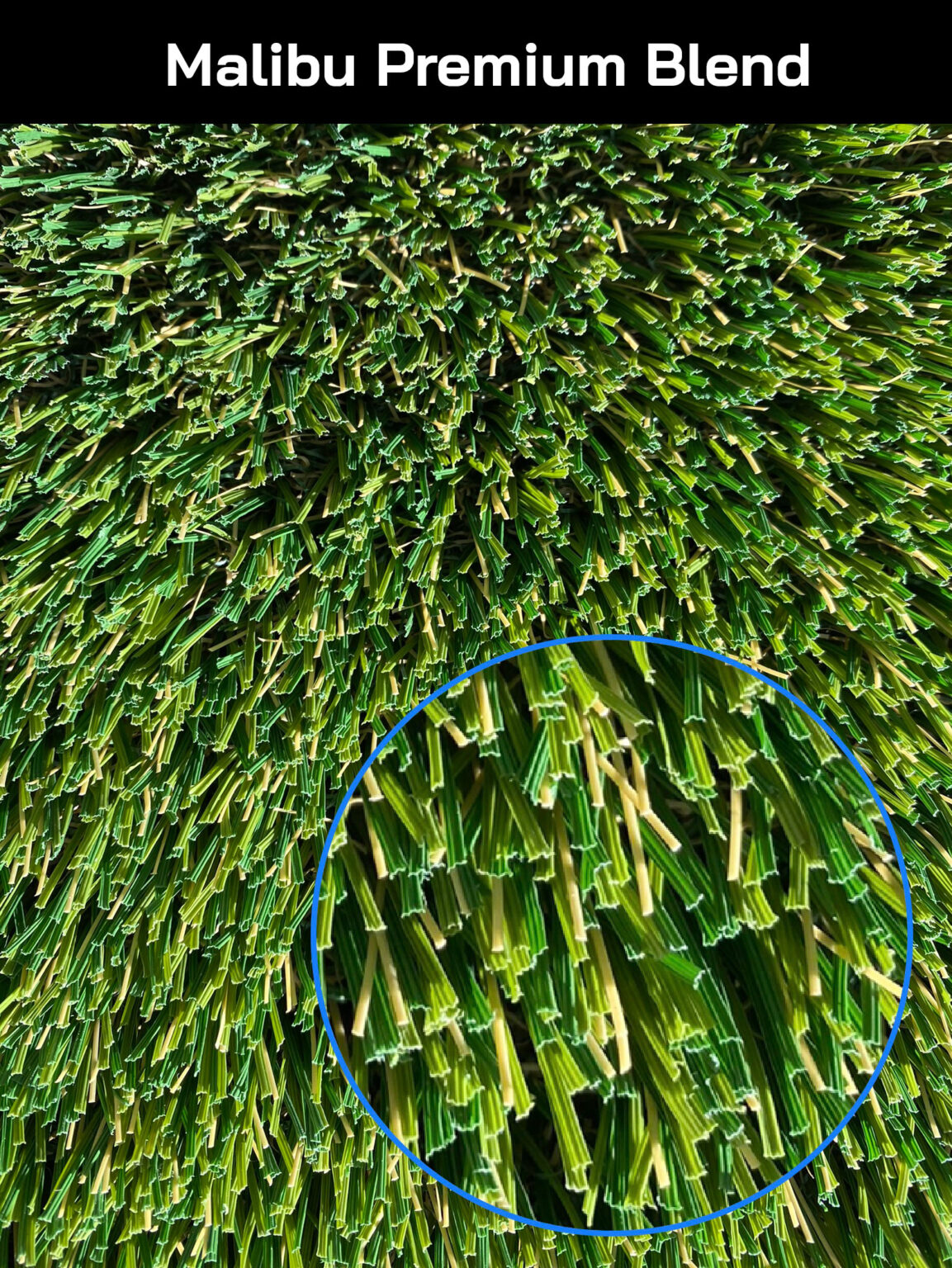 Smart Grass Blends Fescue, Natural, Gecko, Kodiak, Malibu, Manchester