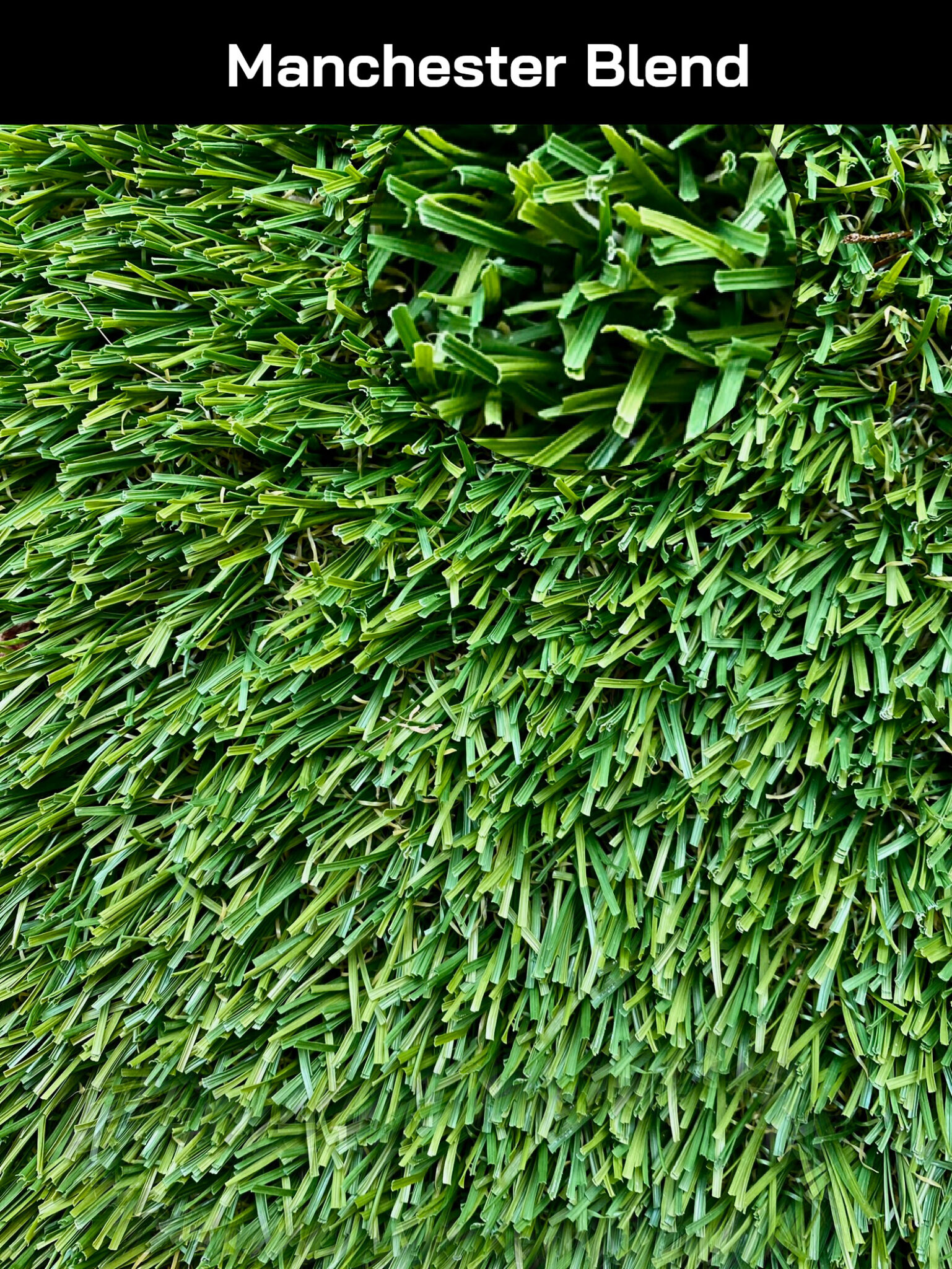 Smart Grass Blends Fescue, Natural, Gecko, Kodiak, Malibu, Manchester